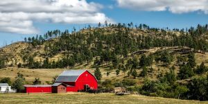 Picturesque red barn amid rolling hills and pine trees under a cloudy sky.